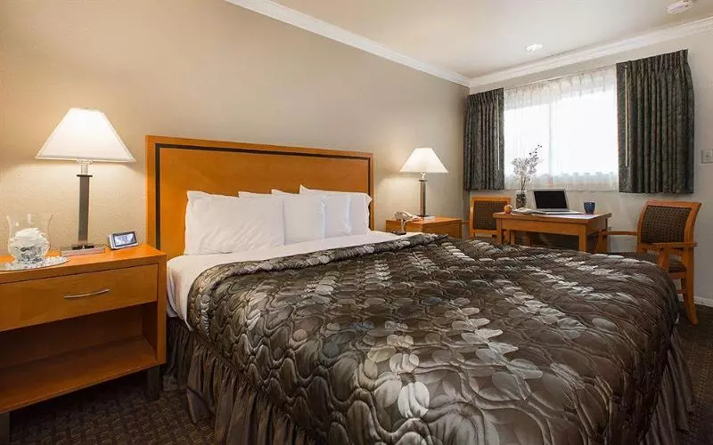 酒店 Soma Park Inn