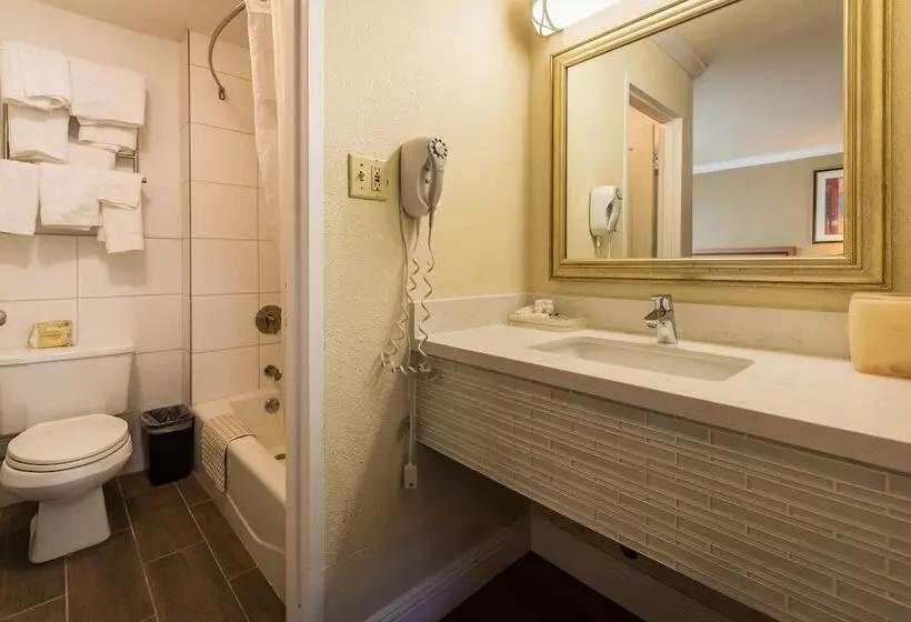 酒店 Soma Park Inn