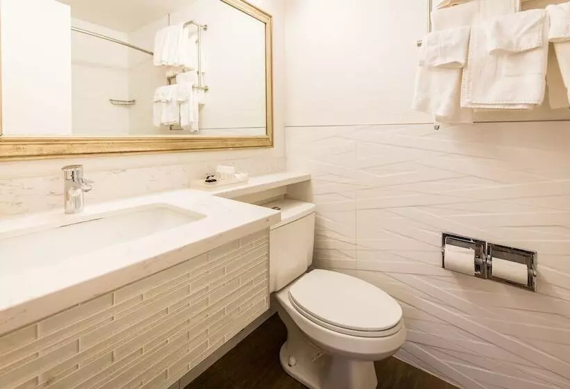 酒店 Soma Park Inn