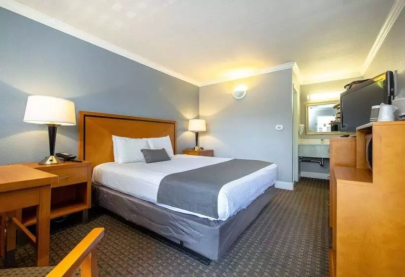 酒店 Soma Park Inn