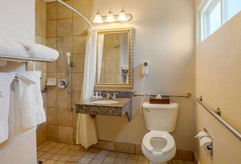 호텔 Comfort Inn San Diego Airport At The Harbor