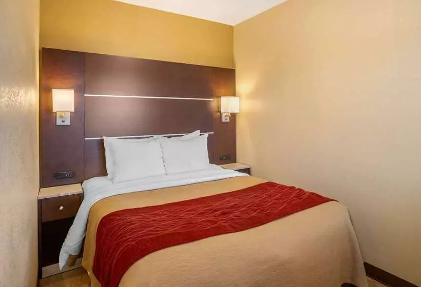 Отель Comfort Inn San Diego Airport At The Harbor