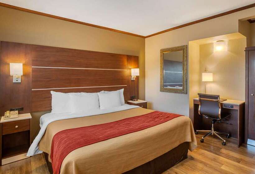 호텔 Comfort Inn San Diego Airport At The Harbor