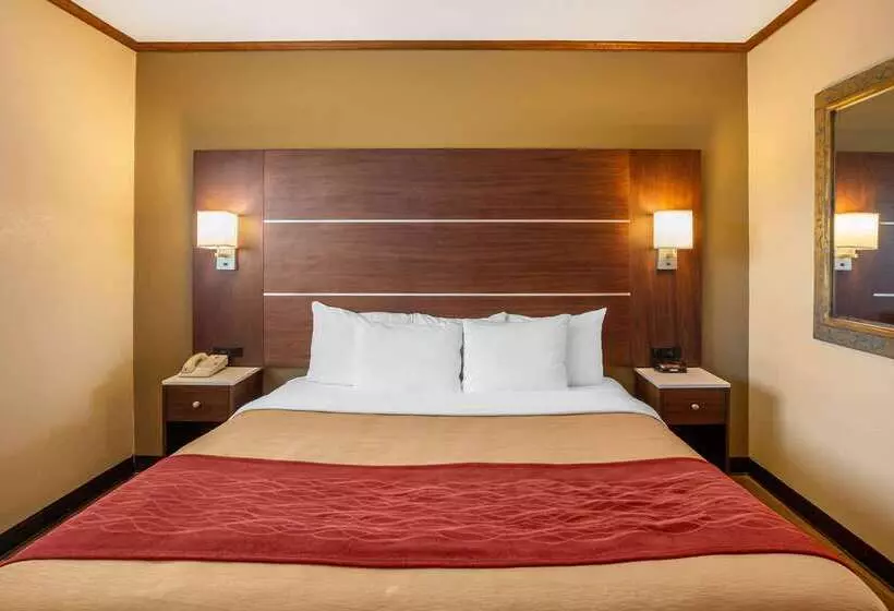 Отель Comfort Inn San Diego Airport At The Harbor