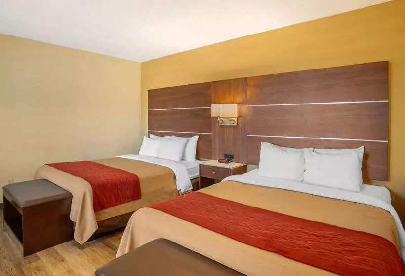 Отель Comfort Inn San Diego Airport At The Harbor