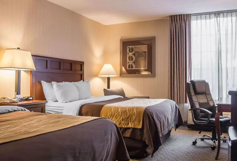 Hotel Comfort Inn Wethersfield  Hartford