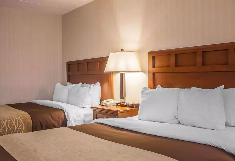 Hotel Comfort Inn Wethersfield  Hartford