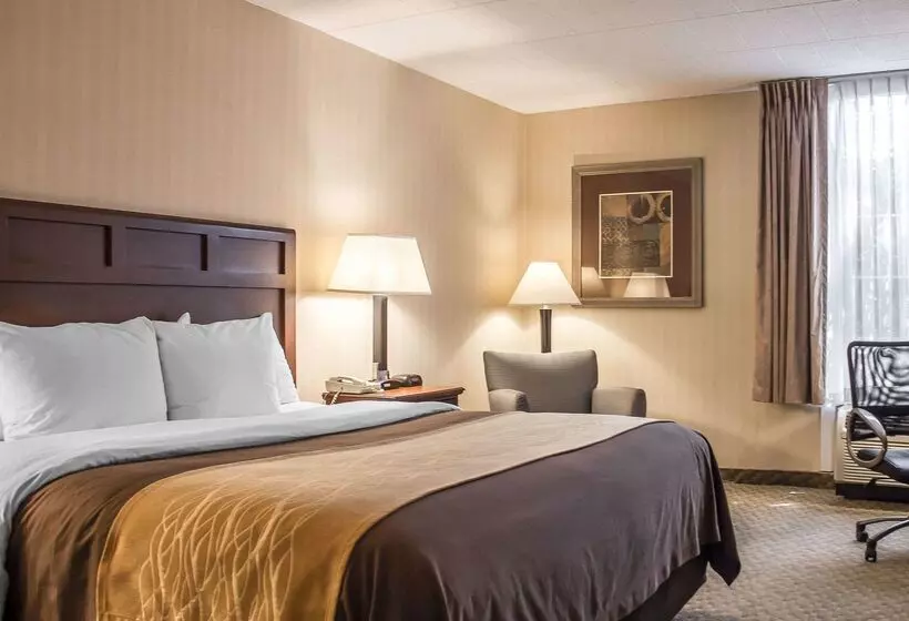 Hotel Comfort Inn Wethersfield  Hartford