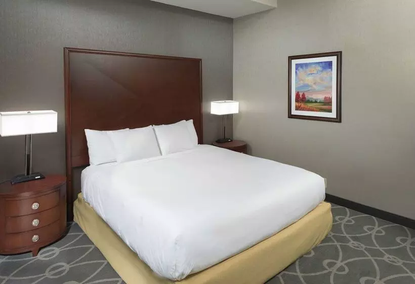 فندق Doubletree By Hilton Asheville Biltmore