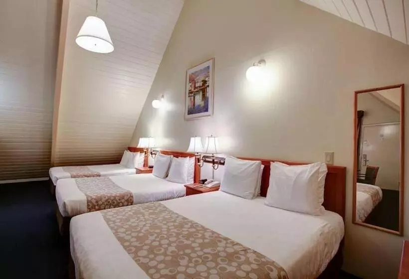 ホテル Newport Channel Inn