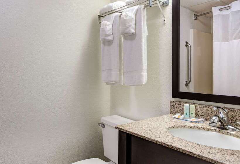 בית מלון כפרי Quality Inn Creekside Downtown Gatlinburg