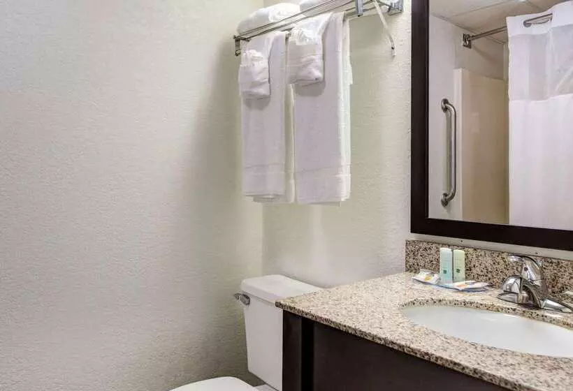 ホテル Quality Inn Creekside   Downtown Gatlinburg