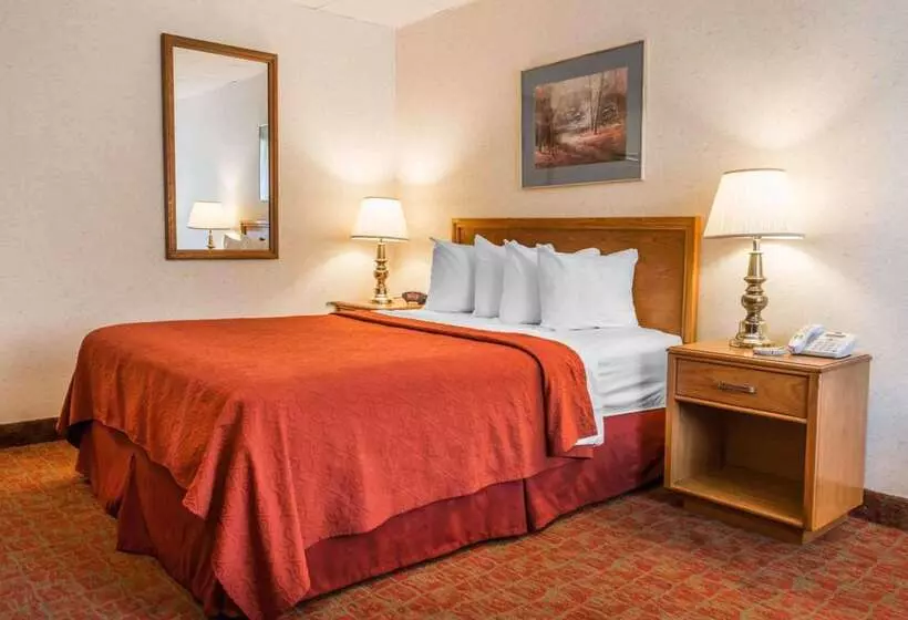 酒店 Quality Inn Royle