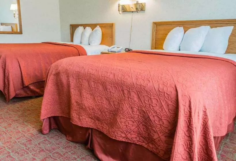 酒店 Quality Inn Royle