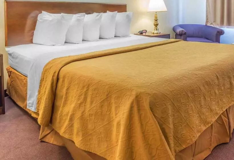 酒店 Quality Inn Royle