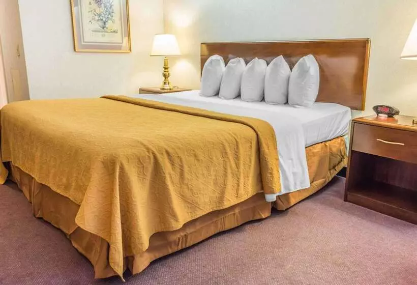 酒店 Quality Inn Royle
