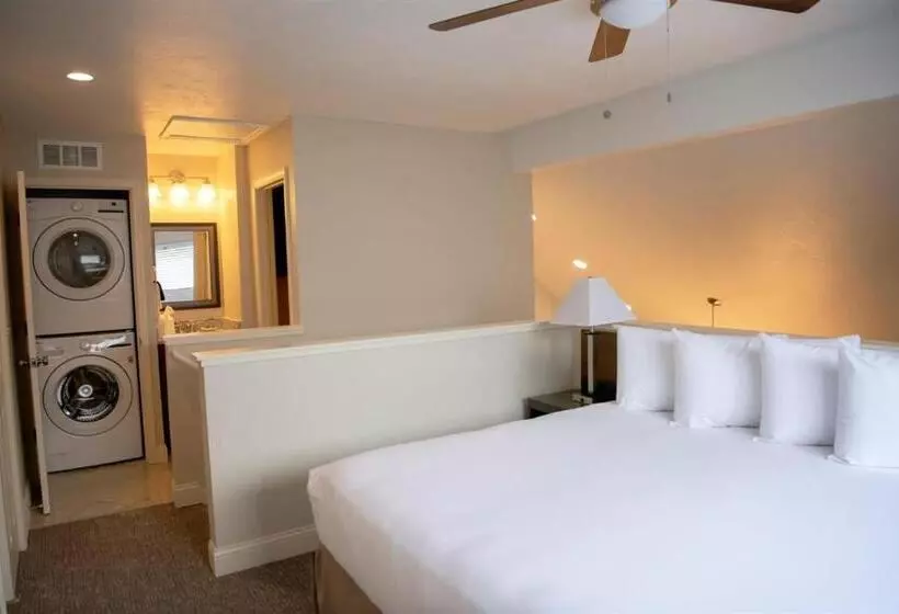 호텔 Annabell Gardens