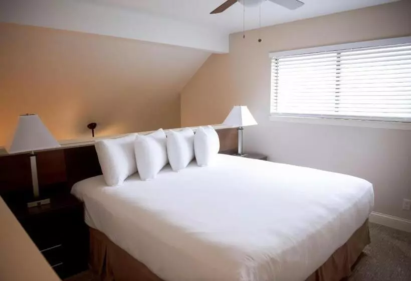 호텔 Annabell Gardens