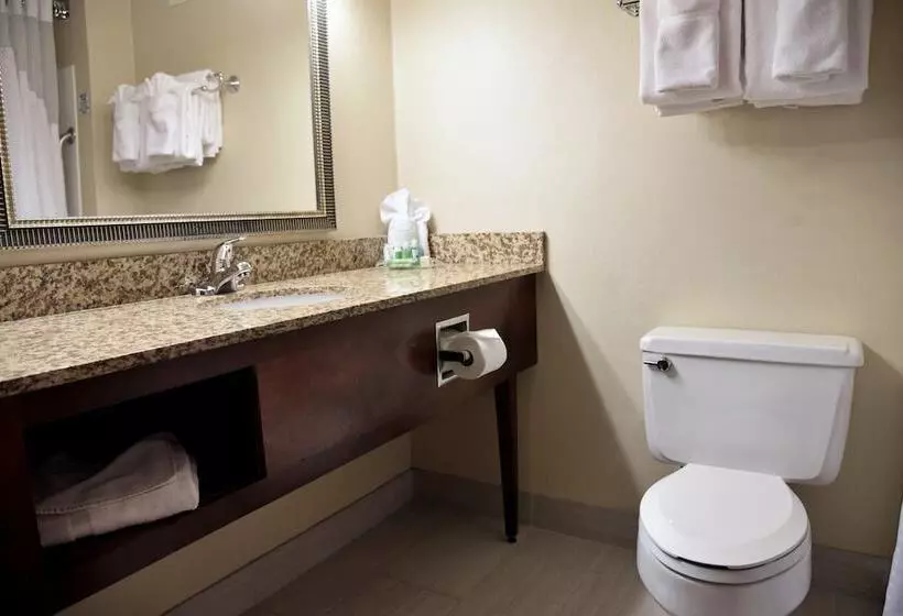 Otel Holiday Inn Akron West, An Ihg