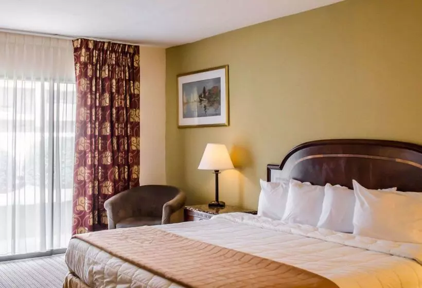 בית מלון כפרי Quality Inn & Suites Pensacola Bayview