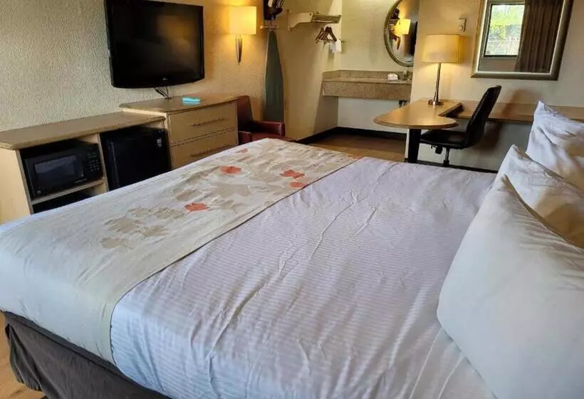 فندق Red Oak Inn Detroit   Southfield