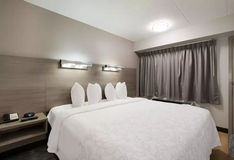 Szálloda Red Roof Inn Plus+ Chicago   Naperville