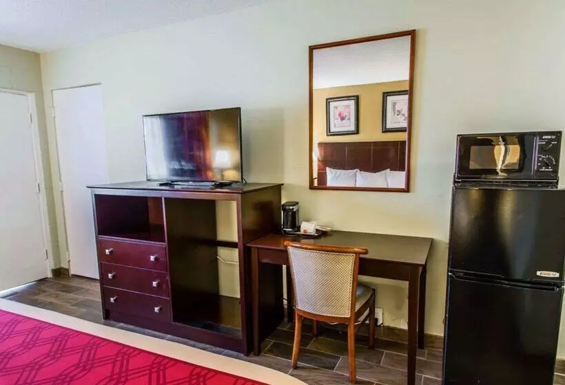 Motel Econo Lodge Cocoa Beach  Near The Port