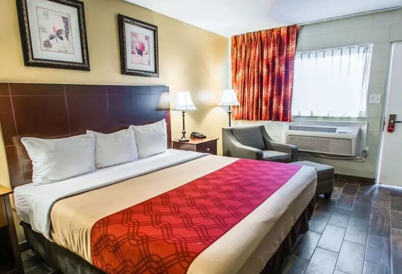 Motel Econo Lodge Cocoa Beach  Near The Port