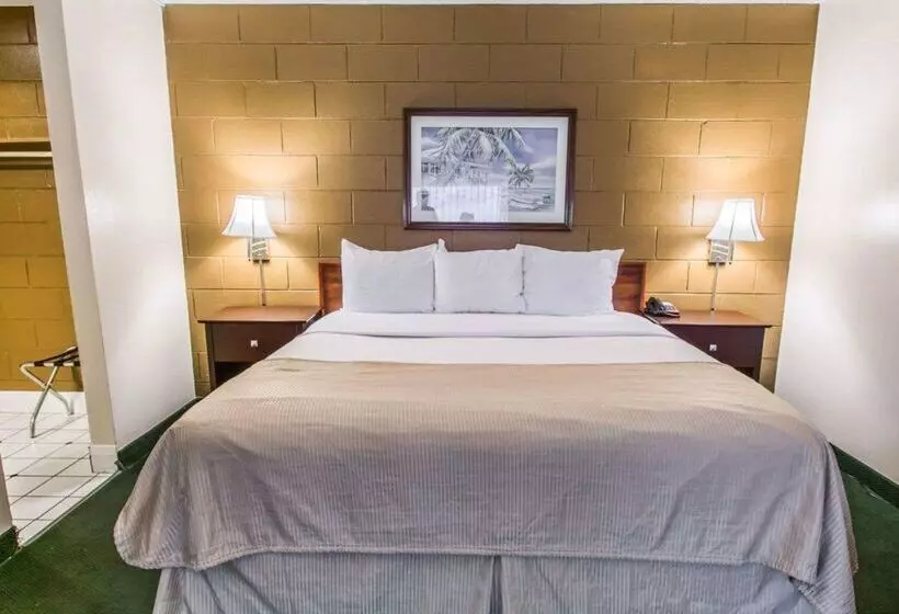 Motel Econo Lodge Cocoa Beach  Near The Port