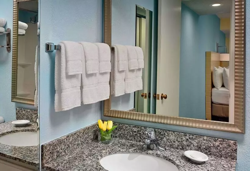 住所  Sonesta Simply Suites Memphis East Poplar Pike