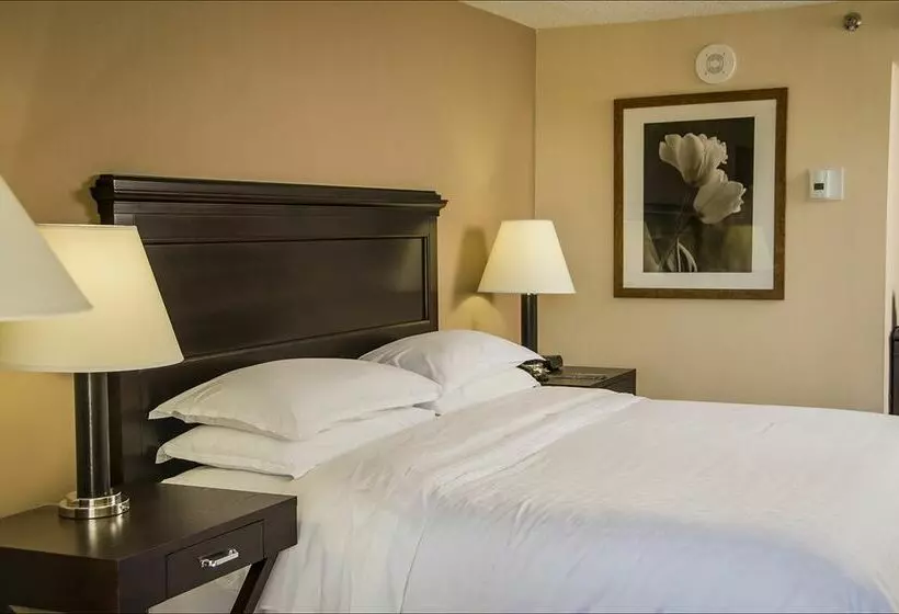 Blue Ridge Hotel and Conference Center