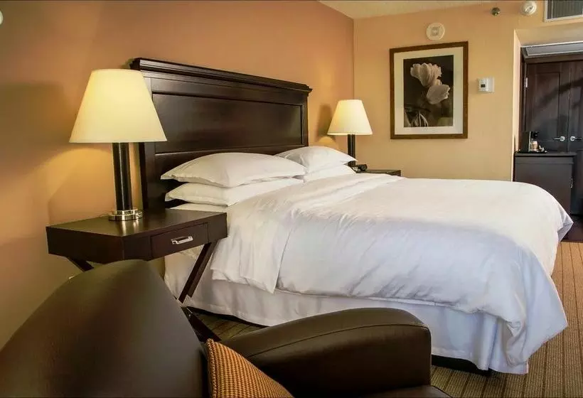 Blue Ridge Hotel and Conference Center