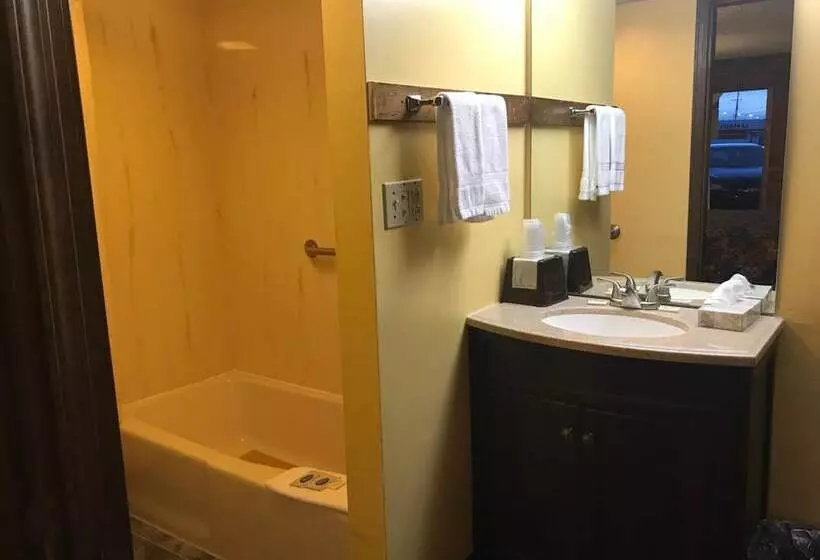 فندق Carthage Inn