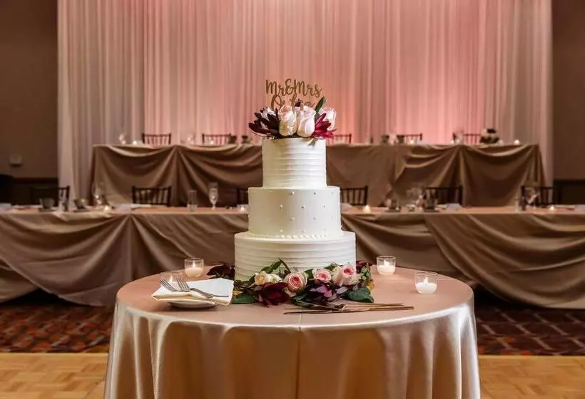 Otel Chicago Marriott Naperville