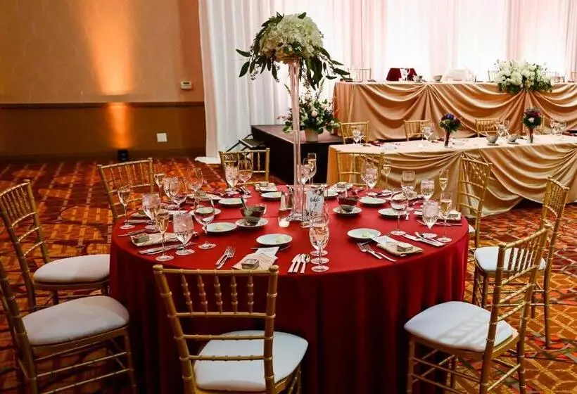 Otel Chicago Marriott Naperville