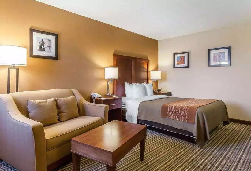 Otel Comfort Inn  Hall Of Fame