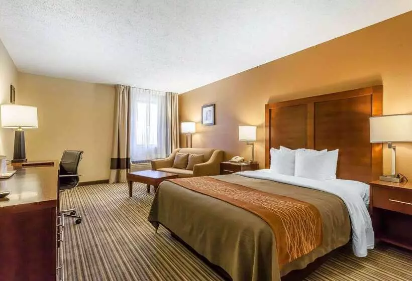 Otel Comfort Inn  Hall Of Fame