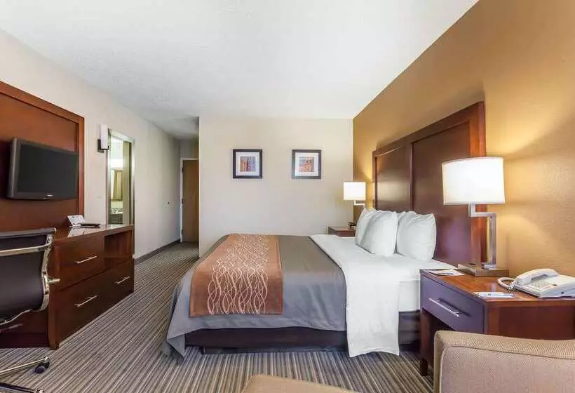 Otel Comfort Inn  Hall Of Fame