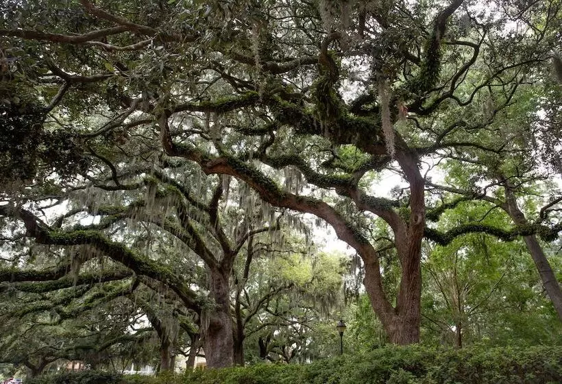 בית מלון כפרי Eliza Thompson House, Historic Inns Of Savannah Collection