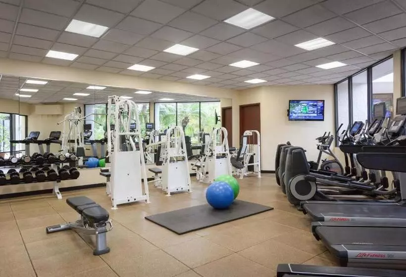 בית מלון כפרי Marriott Tampa Westshore