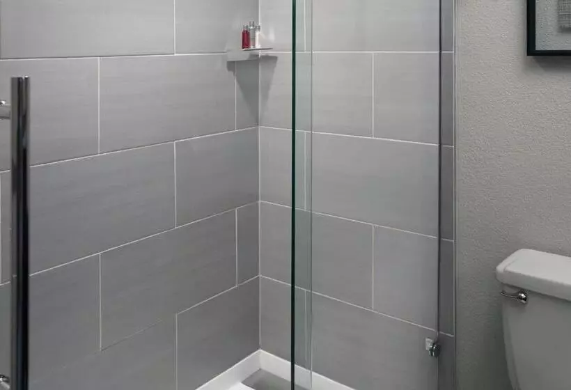 בית מלון כפרי Marriott Tampa Westshore