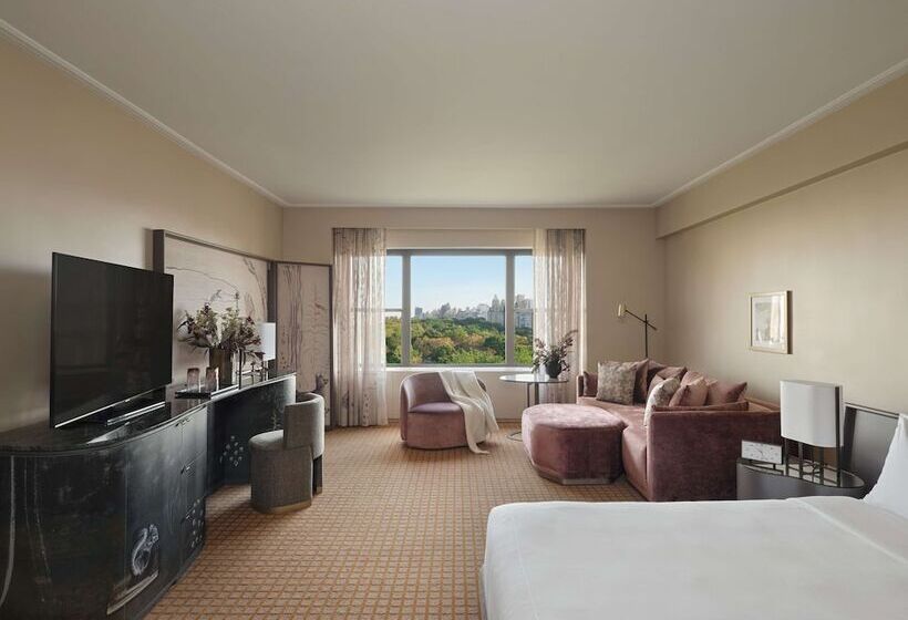 酒店 Park Lane New York