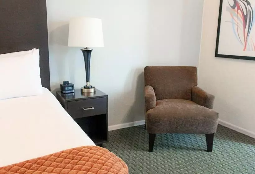 בית מלון כפרי The Willows