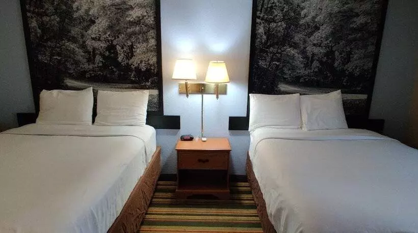 汽车旅馆  Super 8 By Wyndham Champaign