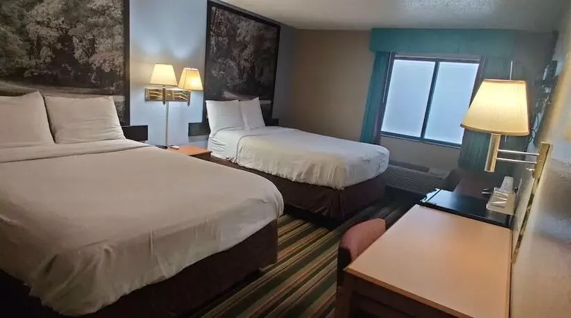 汽车旅馆  Super 8 By Wyndham Champaign