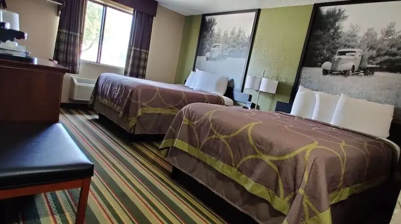 汽车旅馆  Super 8 By Wyndham Champaign