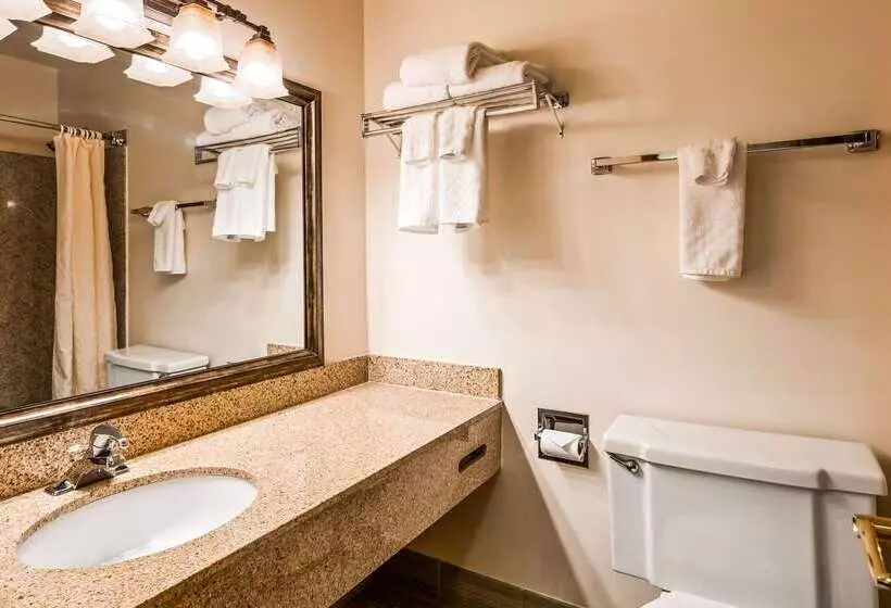 فندق Best Western Kodiak Inn