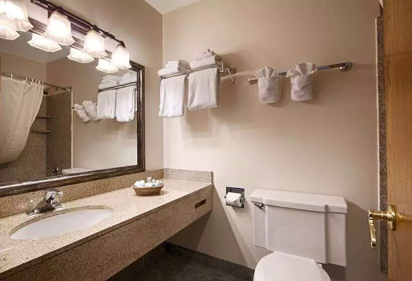 فندق Best Western Kodiak Inn