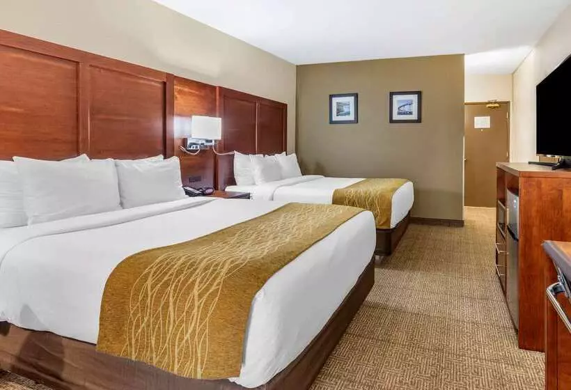 ホテル Comfort Inn Escondido San Diego North County