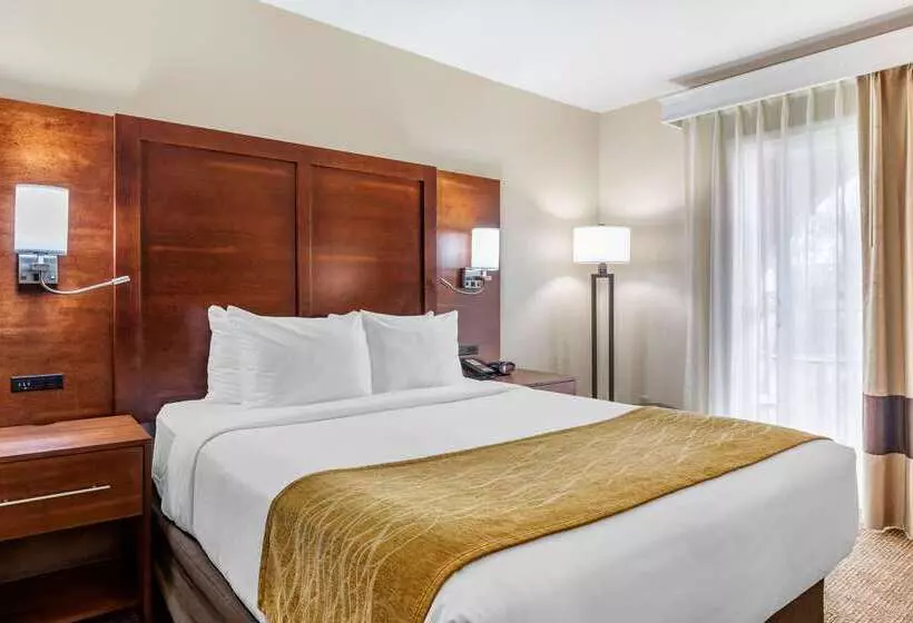 ホテル Comfort Inn Escondido San Diego North County